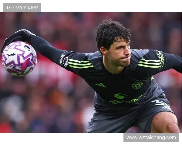 曼联祝贺舒梅切尔62岁生日回顾其398场比赛与15个冠军成就